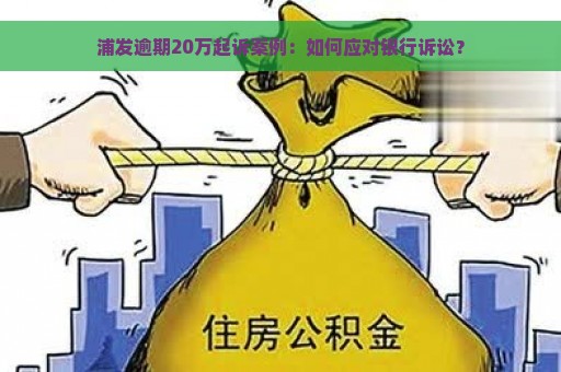 浦发逾期20万起诉案例：如何应对银行诉讼？