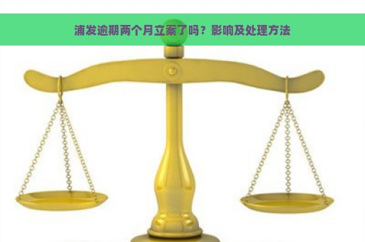 浦发逾期两个月立案了吗？影响及处理方法