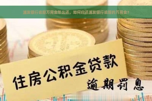 浦发银行逾期万用金怎么还，如何归还浦发银行逾期的万用金？