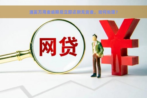 浦发万用金逾期后立即还款无资金，如何处理？