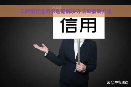 工商银行逸购卡逾期解决办法及额度介绍