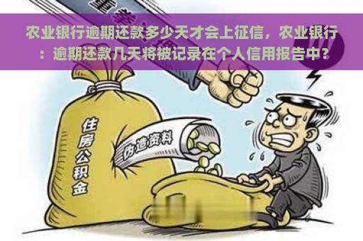 农业银行逾期还款多少天才会上征信，农业银行：逾期还款几天将被记录在个人信用报告中？