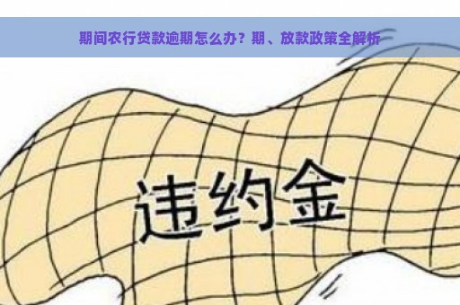 期间农行贷款逾期怎么办？期、放款政策全解析