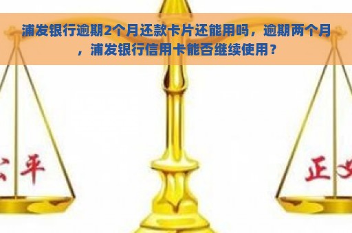 浦发银行逾期2个月还款卡片还能用吗，逾期两个月，浦发银行信用卡能否继续使用？