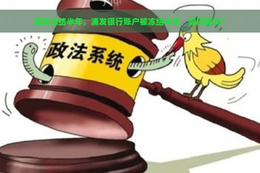 浦发冻结半年，浦发银行账户被冻结半年，如何解决？