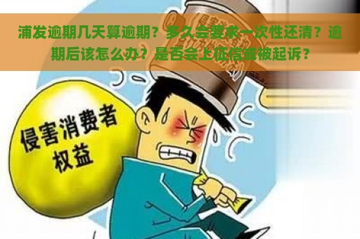 浦发逾期几天算逾期？多久会要求一次性还清？逾期后该怎么办？是否会上征信或被起诉？