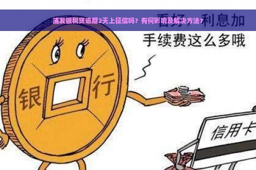 浦发银税贷逾期2天上征信吗？有何影响及解决方法？