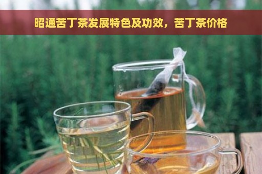 昭通苦丁茶发展特色及功效，苦丁茶价格