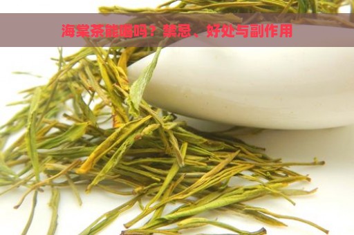 海棠茶能喝吗？禁忌、好处与副作用