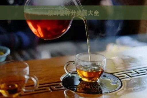 茶叶品种分类图大全