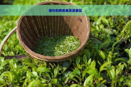 茶叶的种类表及其表征