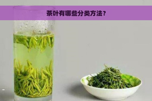 茶叶有哪些分类方法？