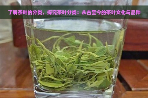 了解茶叶的分类，探究茶叶分类：从古至今的茶叶文化与品种