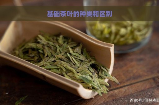 基础茶叶的种类和区别