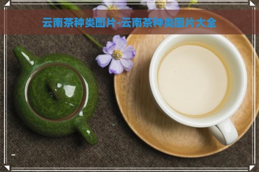 云南茶种类图片-云南茶种类图片大全