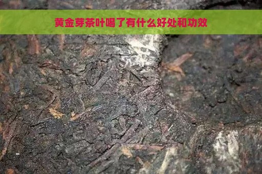 黄金芽茶叶喝了有什么好处和功效