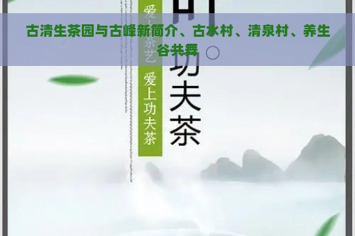 古清生茶园与古峰新简介、古水村、清泉村、养生谷共舞