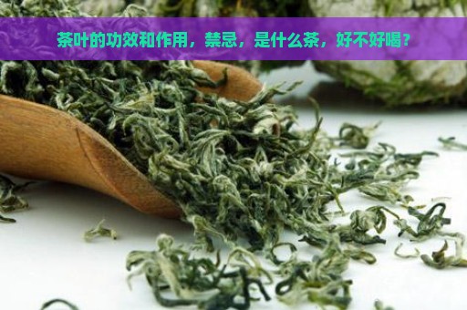 茶叶的功效和作用，禁忌，是什么茶，好不好喝？