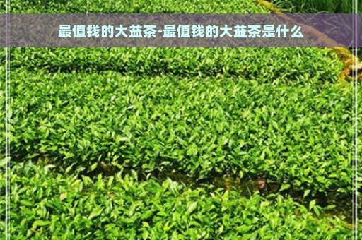 最值钱的大益茶-最值钱的大益茶是什么