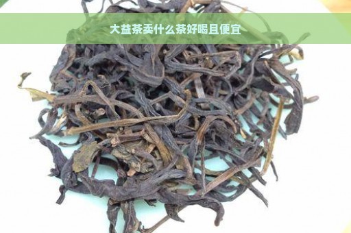 大益茶卖什么茶好喝且便宜