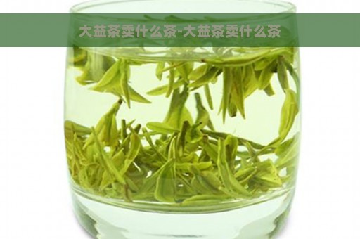 大益茶卖什么茶-大益茶卖什么茶