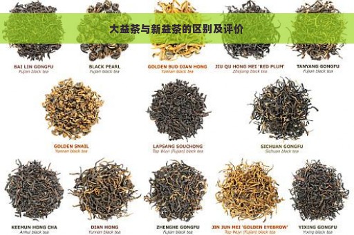 大益茶与新益茶的区别及评价