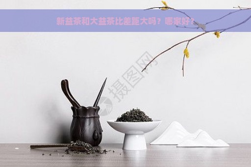 新益茶和大益茶比差距大吗？哪家好？