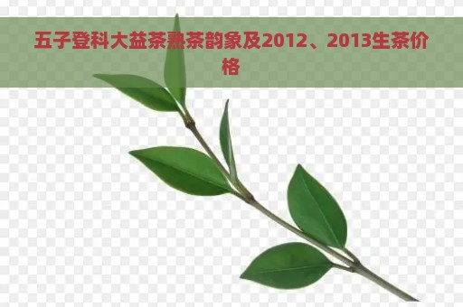 五子登科大益茶熟茶韵象及2012、2013生茶价格