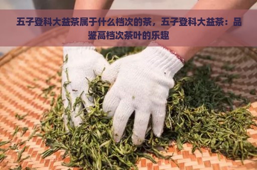 五子登科大益茶属于什么档次的茶，五子登科大益茶：品鉴高档次茶叶的乐趣