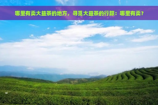 哪里有卖大益茶的地方，寻觅大益茶的行踪：哪里有卖？