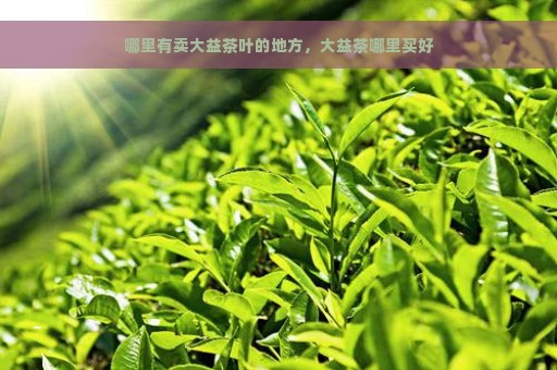 哪里有卖大益茶叶的地方，大益茶哪里买好