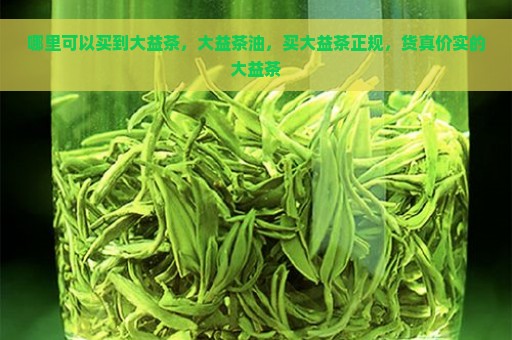 哪里可以买到大益茶，大益茶油，买大益茶正规，货真价实的大益茶