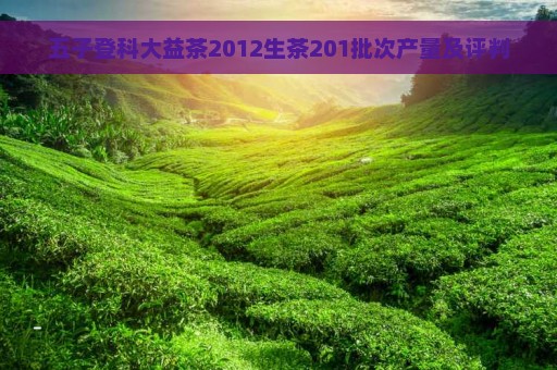 五子登科大益茶2012生茶201批次产量及评判