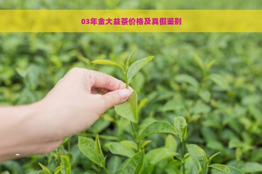 03年金大益茶价格及真假鉴别