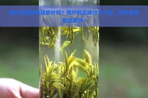 茶叶的品种包括茶叶吗？茶叶的品种分为几类，茶叶包括哪些品种？