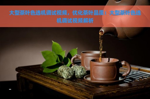 大型茶叶色选机调试视频，优化茶叶品质：大型茶叶色选机调试视频解析