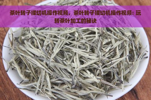 茶叶转子揉切机操作视频，茶叶转子揉切机操作视频: 玩转茶叶加工的秘诀