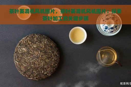 茶叶萎凋机风机图片，茶叶萎凋机风机图片：探索茶叶加工的关键步骤