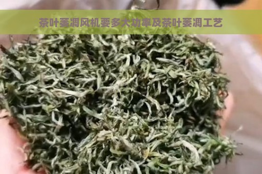 茶叶萎凋风机要多大功率及茶叶萎凋工艺