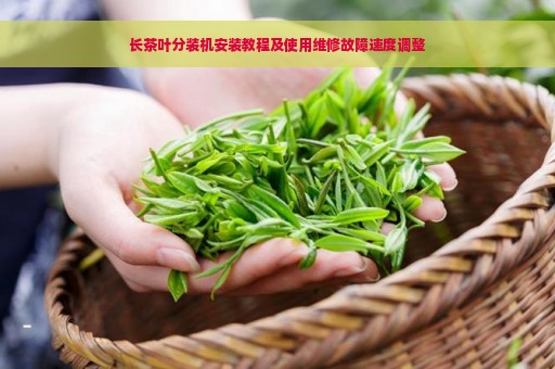 长茶叶分装机安装教程及使用维修故障速度调整