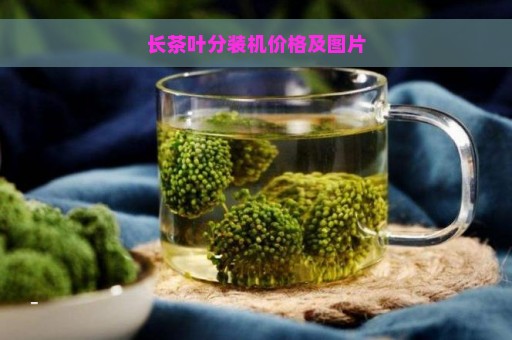 长茶叶分装机价格及图片