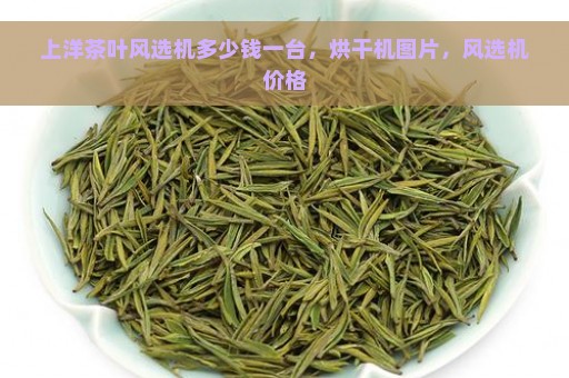 上洋茶叶风选机多少钱一台，烘干机图片，风选机价格