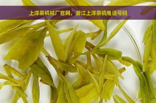 上洋茶机械厂官网，浙江上洋茶机电话号码