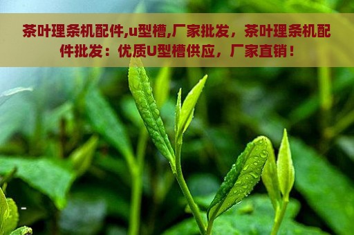 茶叶理条机配件,u型槽,厂家批发，茶叶理条机配件批发：优质U型槽供应，厂家直销！