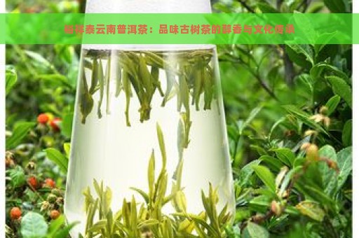 裕祥泰云南普洱茶：品味古树茶的醇香与文化传承