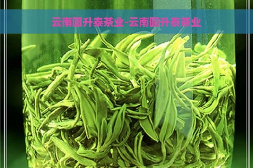 云南圆升泰茶业-云南圆升泰茶业