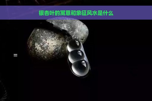 银杏叶的寓意和象征风水是什么