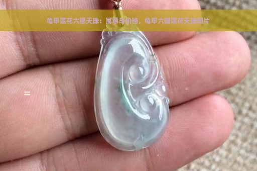 龟甲莲花六眼天珠：寓意与价格，龟甲六瓣莲花天珠图片