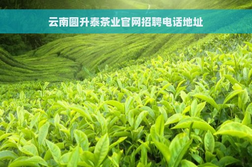 云南圆升泰茶业官网招聘电话地址