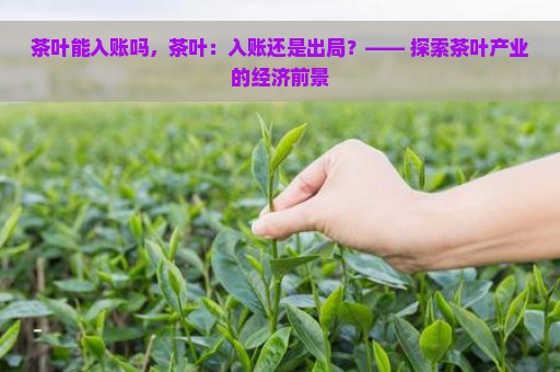 茶叶能入账吗，茶叶：入账还是出局？—— 探索茶叶产业的经济前景